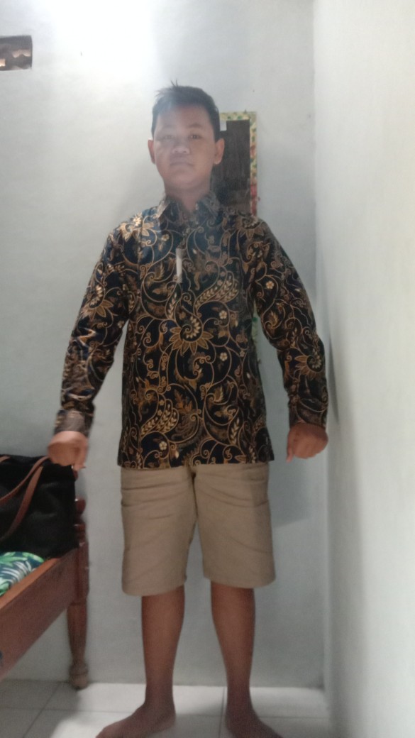 Kemeja Panjang Adinata Batik Arion