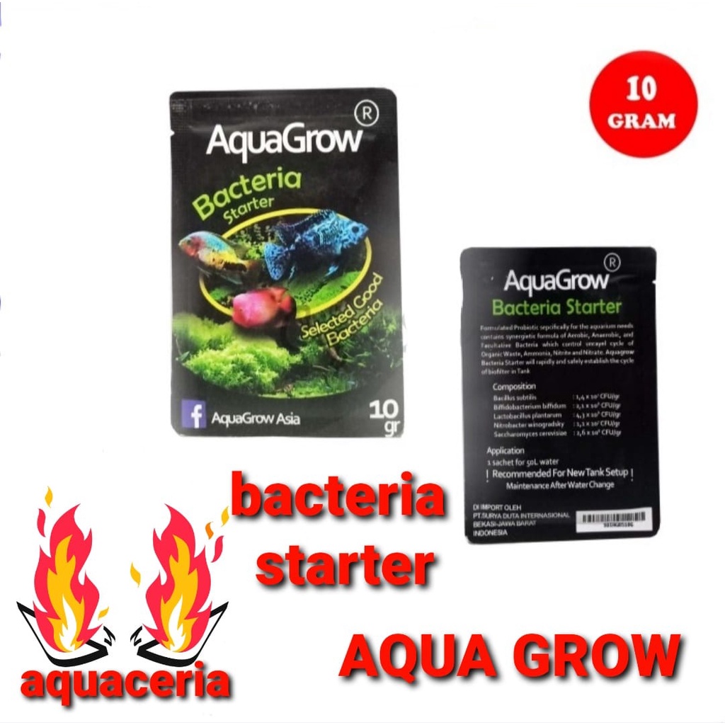 bacteria starter aquagrow bateristarter