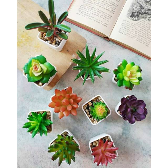 SUCCULENT MINI PALSU LATEX KAKTUS ARTIFICIAL ARTIFISIAL Sukulen