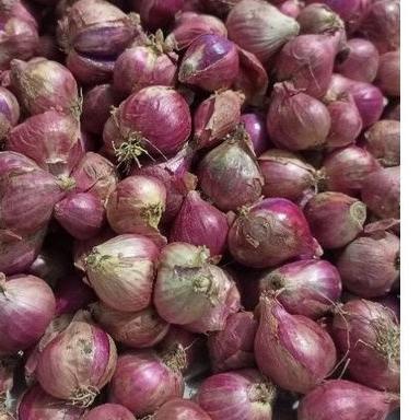 

12.12 Sakti bawang merah Jawa murah 1kg @