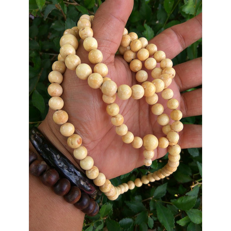 Tasbih muslim 99 akar bahar putih