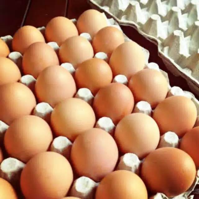 

Telur ayam negeri bekasi