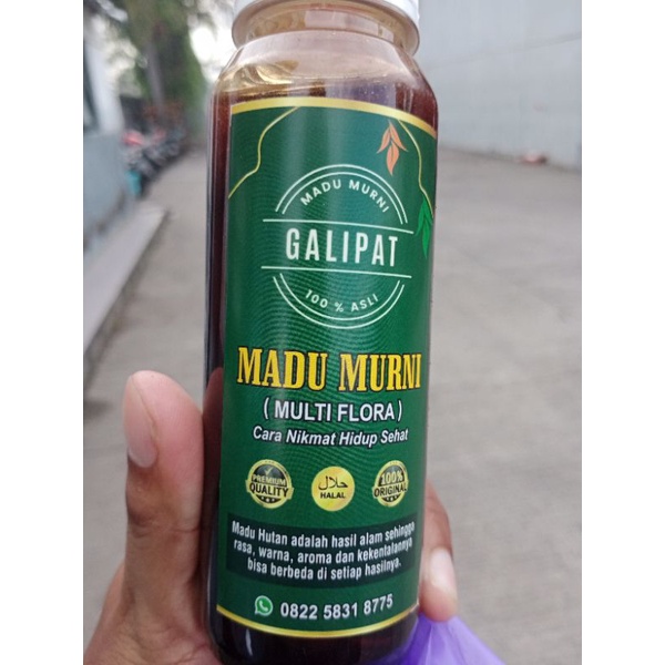

Madu murni asli | madu galipat | raw honey | madu multiflora