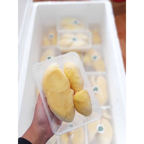 

Durian Montong Palu Grade A