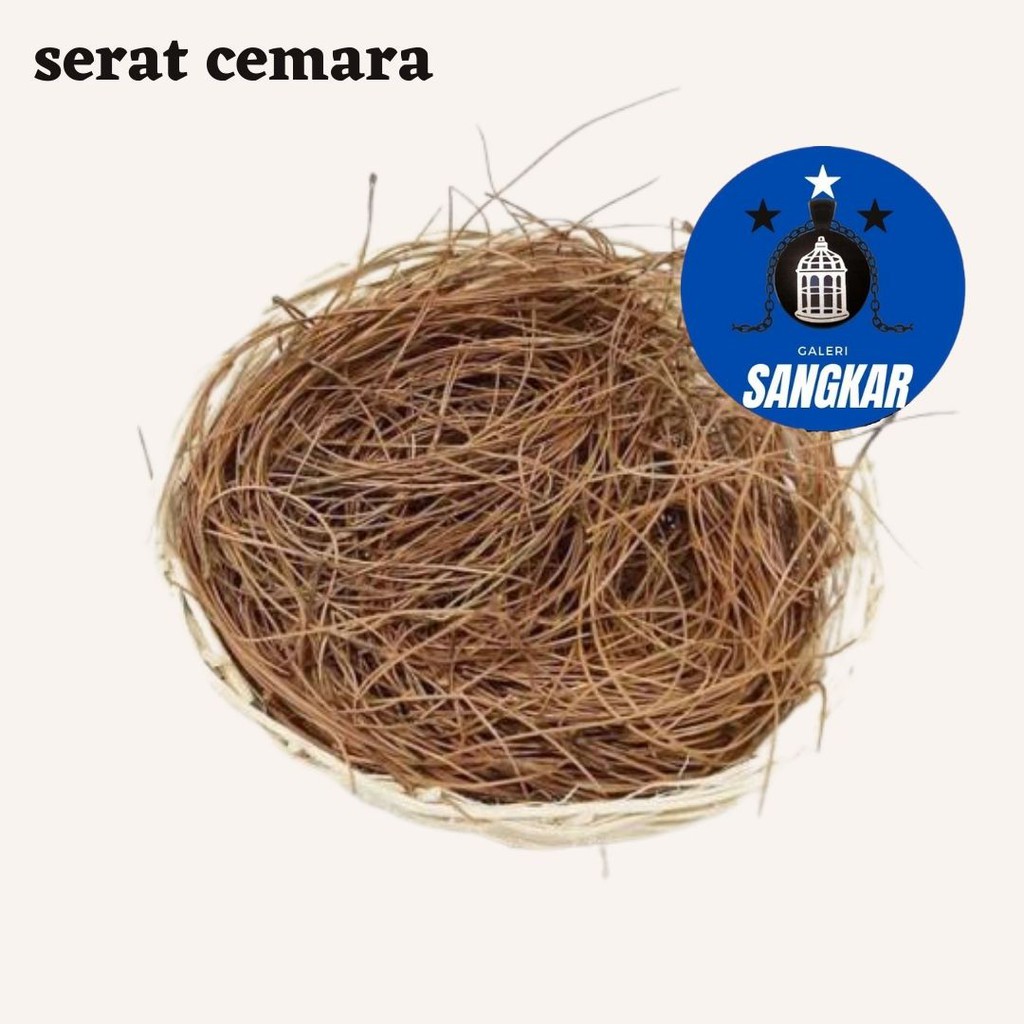 SERAT CEMARA SARANG TELUR BURUNG LOVEBIRD KENARI SARANG BURUNG