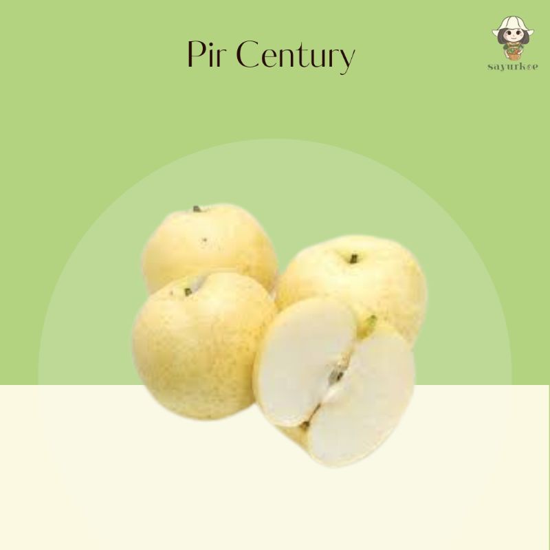 

Pir Century 1kg