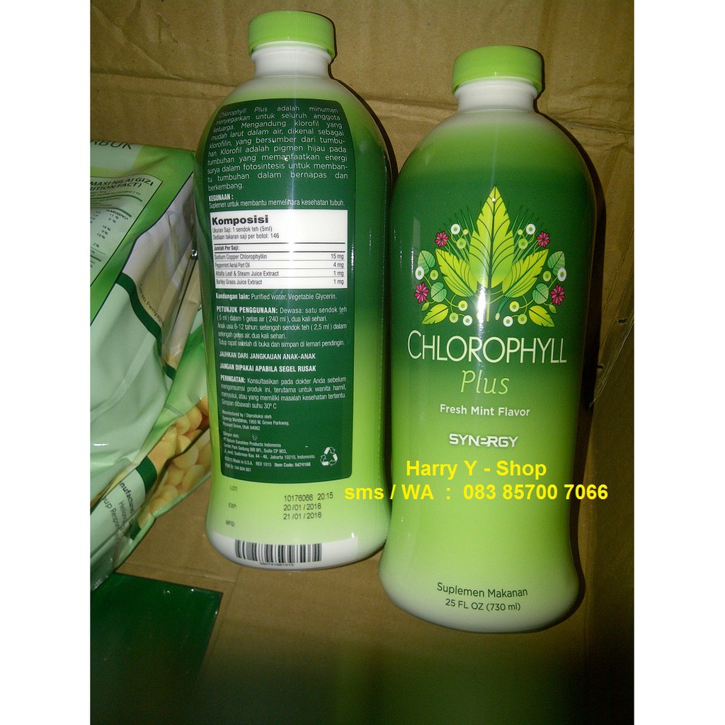 SYNERGY LIQUID KLOROFIL