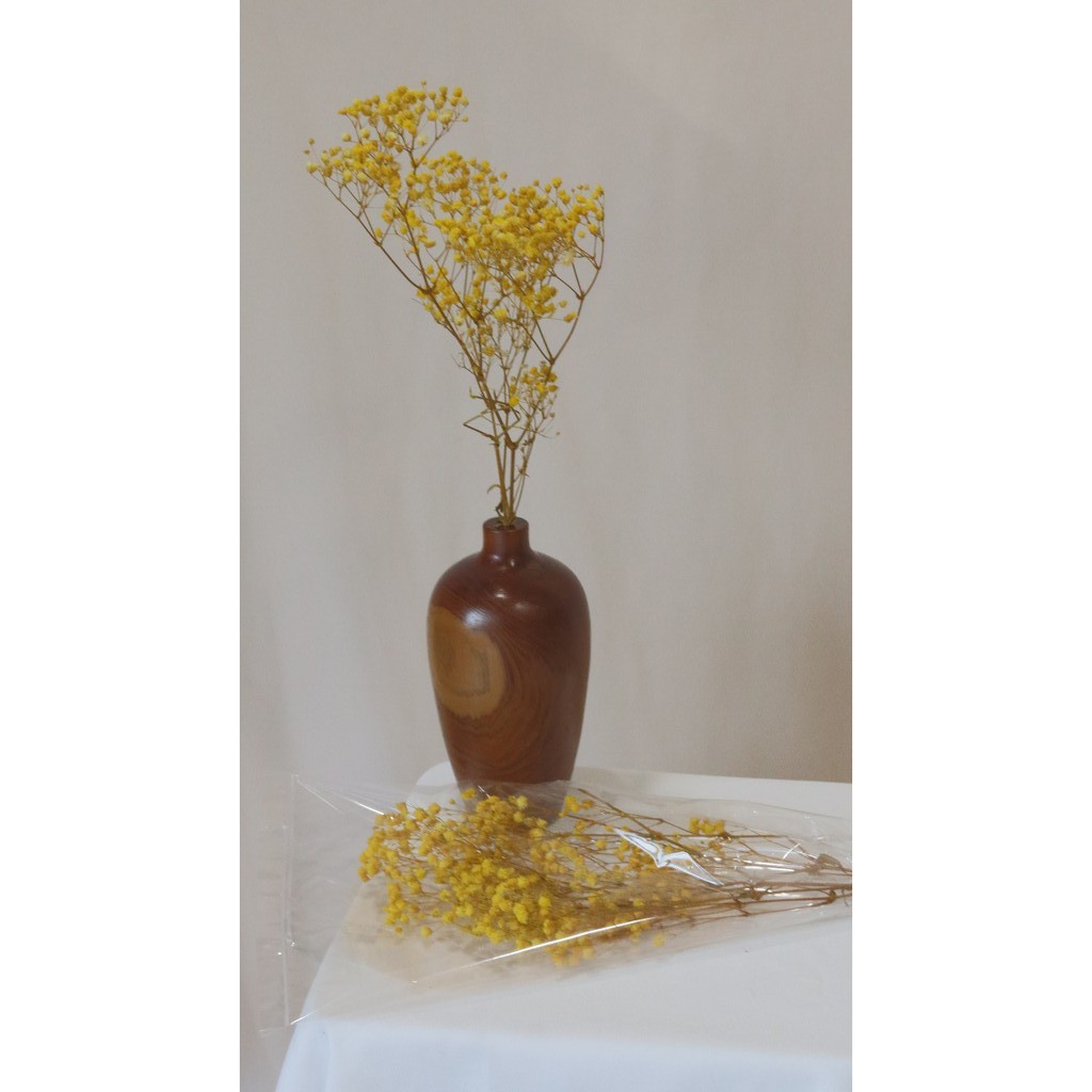 Bunga kering / Dried flower Babybreath