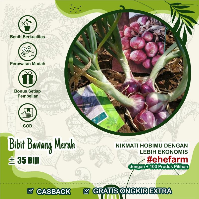 Jual Benih Sayuran Bawang Merah Lokananta F1 - Bibit Sayuran | Shopee ...