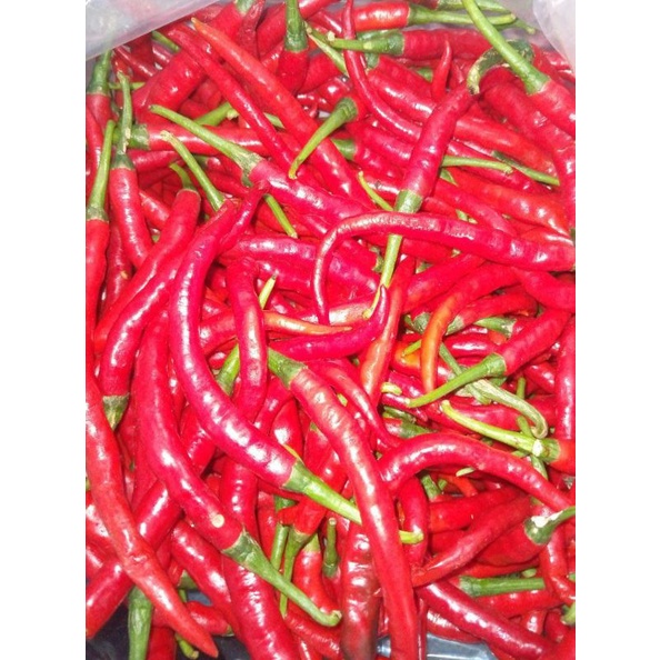 CABAI MERAH KERITING FRESH 1KG