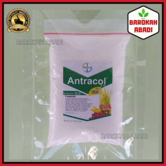 Antracol 70 WP repack 50 gram fungisida pembasmi hama