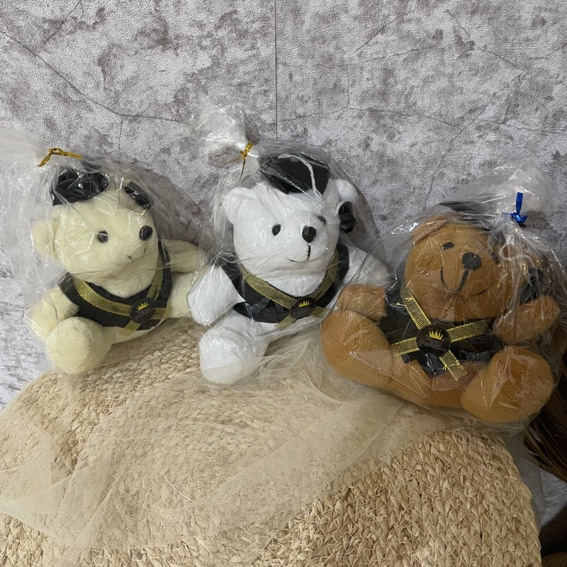 Boneka Wisuda|Graduation Doll