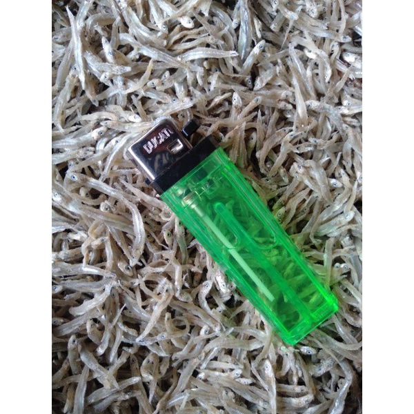 

ikan teri asin/teri nasi 250g