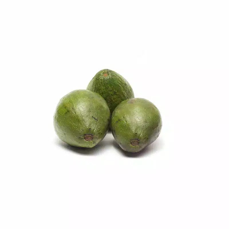 

Alpukat Mentega (1000 gr)