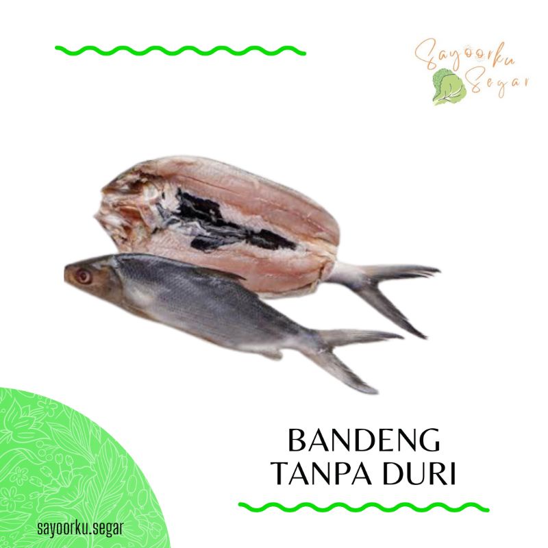 

KIRIM BESOK Ikan Bandeng Tanpa Duri / Bandeng Cabut Duri 1 ekor