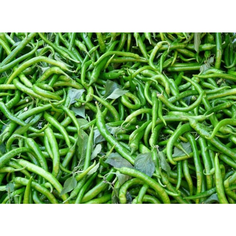 

Cabe/Hijau/Kriting/Pedas/250gram-500gram-1000gram