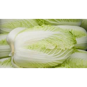 

Sayur Sawi Putih 1 KG