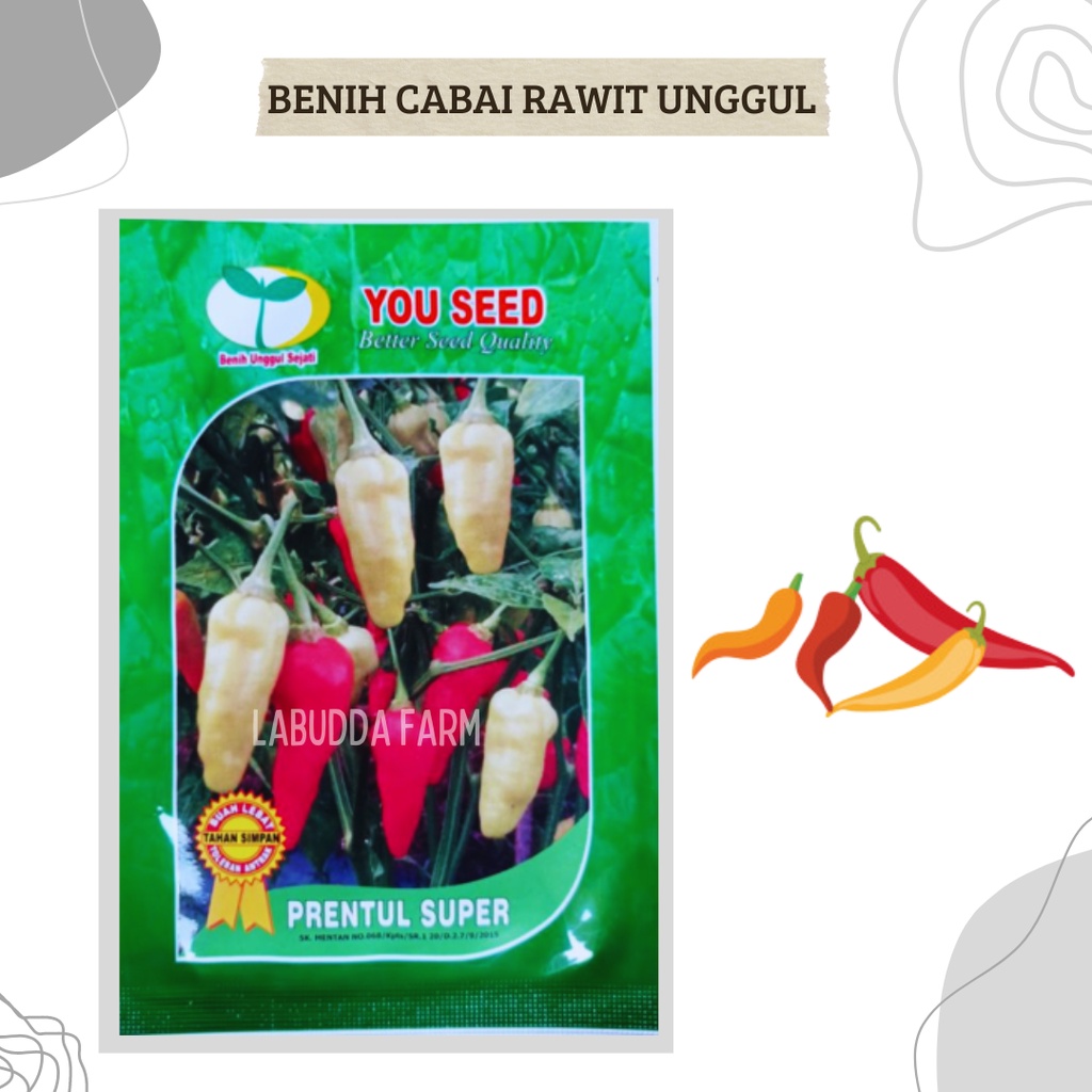 Bibit Cabe Prentul Super original 10gr - Bibit Cabe Rawit Unggul - Bibit Cabe Rawit Merah - Biji Cab