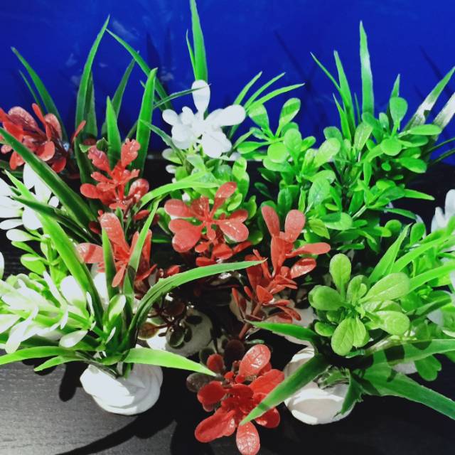 Paket Murah Tanaman  Hias  Mini Plastik  Aquarium  P01 