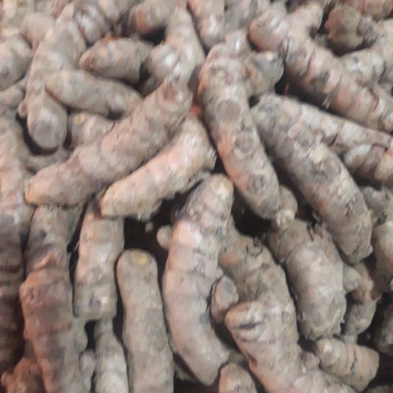 

kunyit segar dan terjaga kualitasnya 1kg