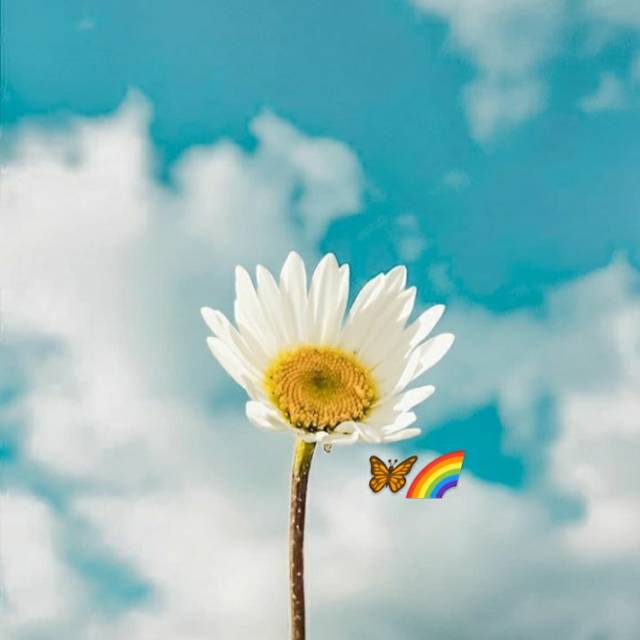 x2softlenstermurahhh