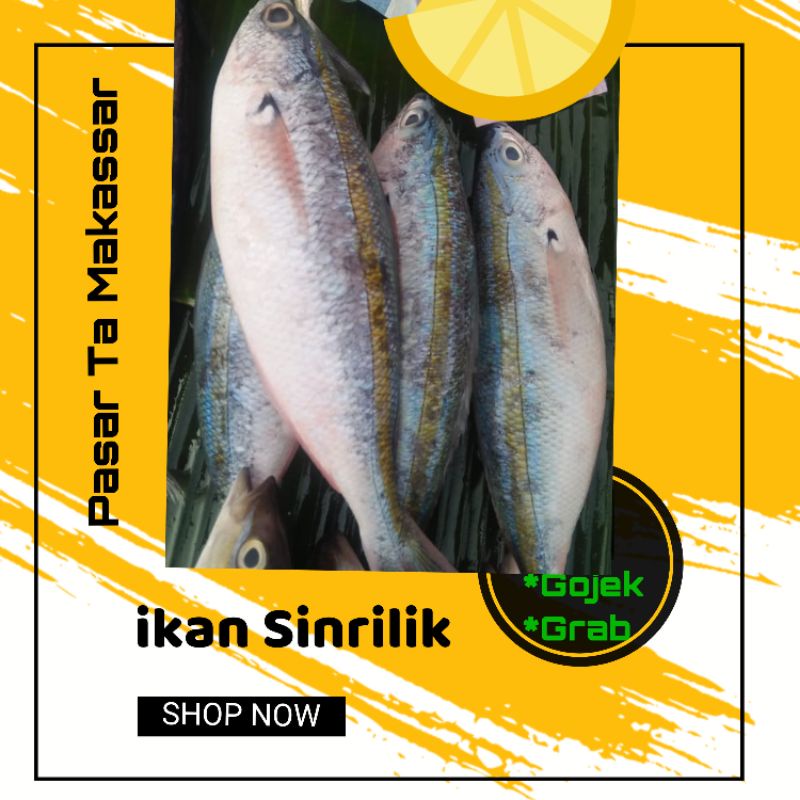 

ikan Sinrilik sepaket isi 3 ekor atau lebih