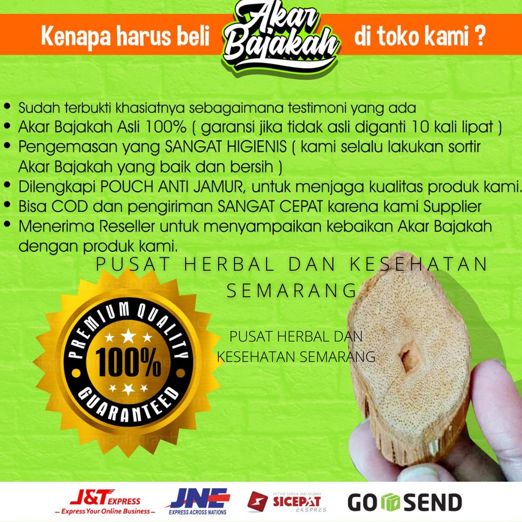 

akar bajakah original asli kalimantan kalalawit