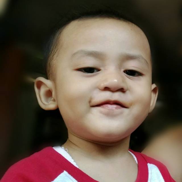 taufikida
