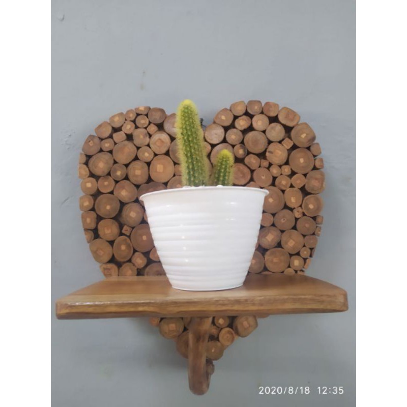 rak kaktus rak bunga love