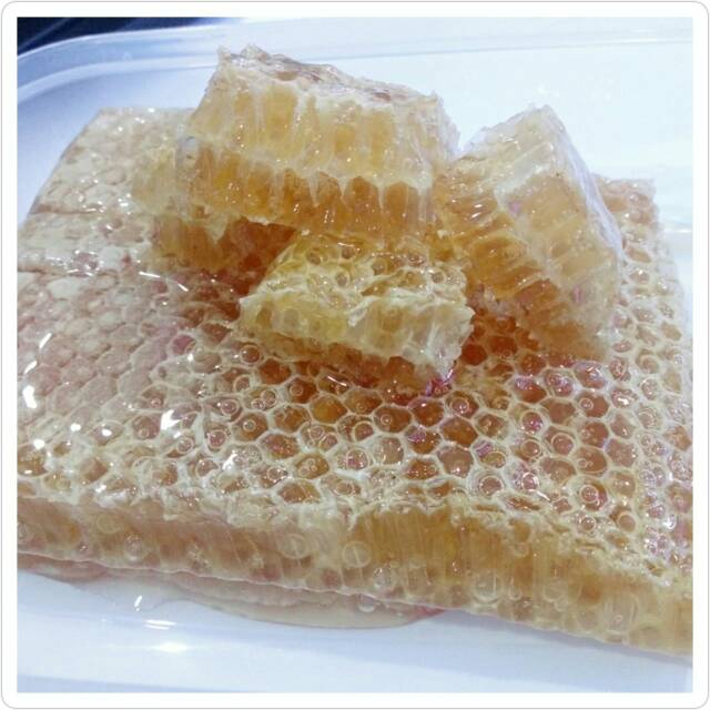 

Madu sarang 500gram
