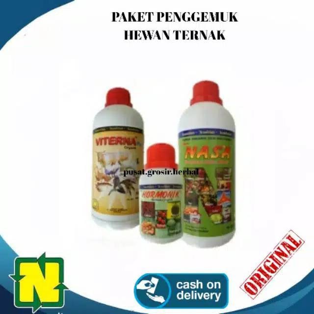 PAKET VITAMIN TERNAK PENGGEMUK SAPI NASA AMPUH