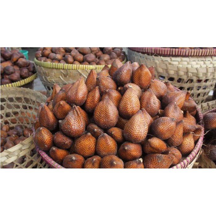 

SALAK PONDOH SUPER