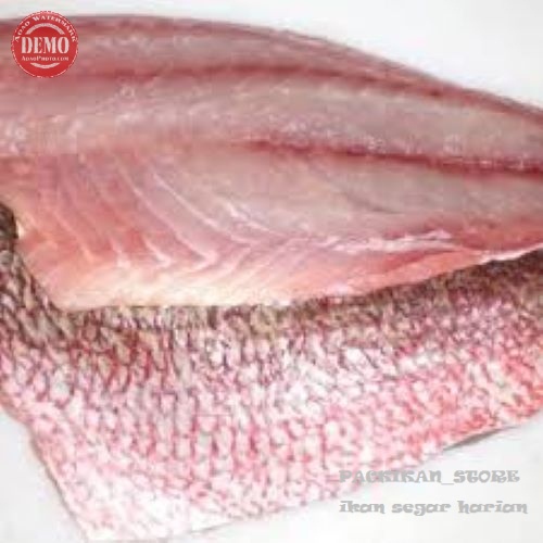 

Kakap Merah Segar Fillet