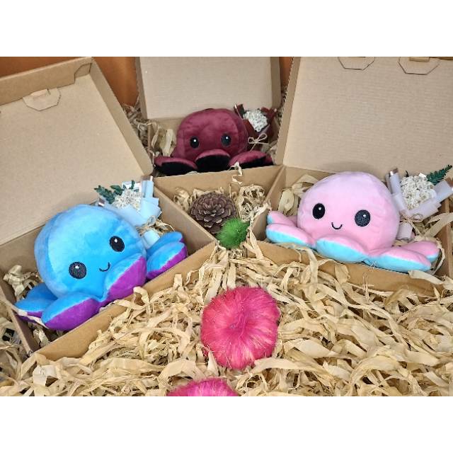 READY - REVERSIBLE OCTOPUS / BIPOLAR OCTOPUS