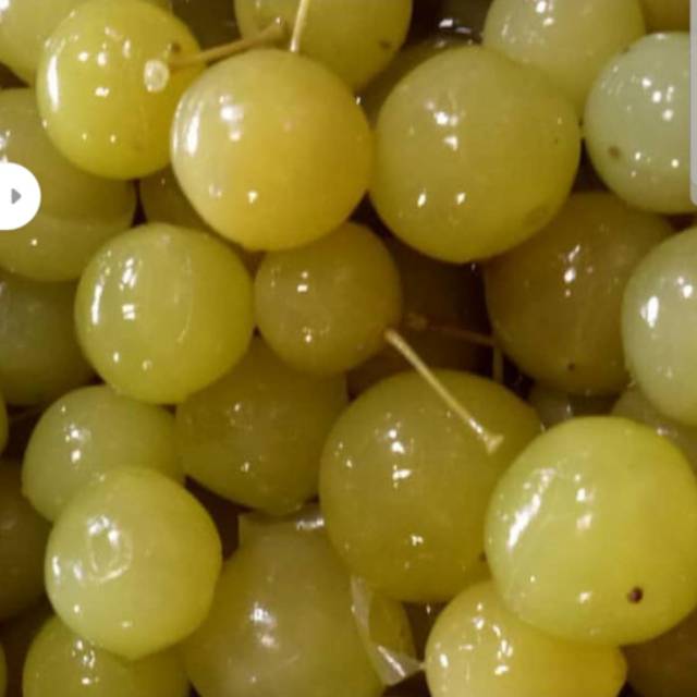 

anggur bogor 500gr