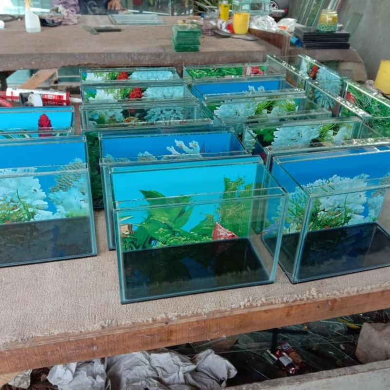 Aquarium kaca ikan cupang + Backgron belakang 20x15x15