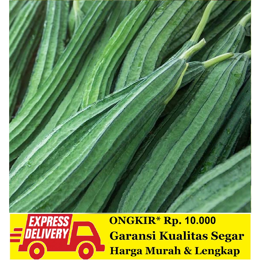 

Sayur Oyong Fresh 500 gram