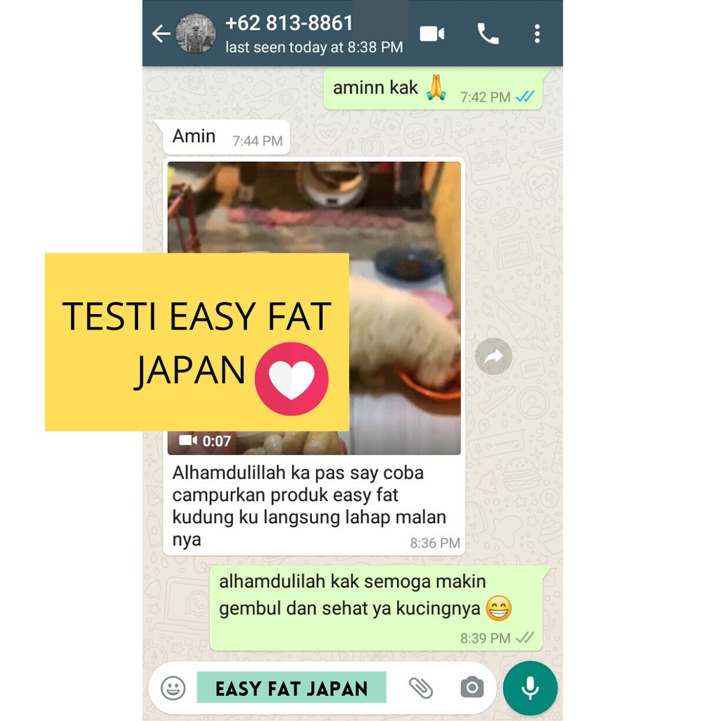 VITAMIN KUCING NAFSU MAKAN BULU GONDRONG EASY FAT JAPAN