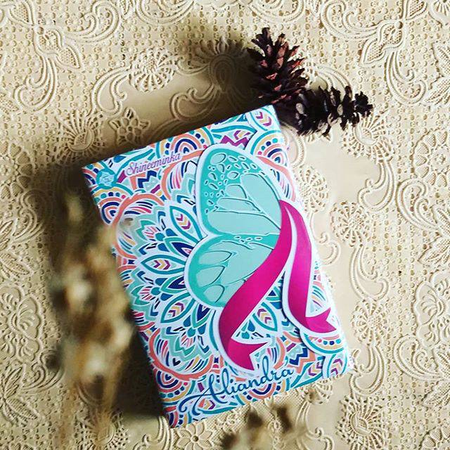 Novel Aliandra - Shineeminka ORIGINAL