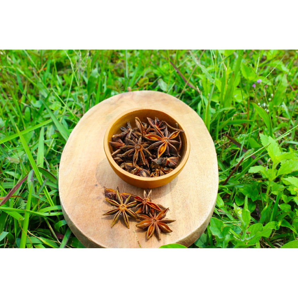 

Natural Star Anise/ Bunga Lawang Organik 30gr