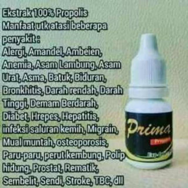 El Untuk Propolis Ambeien Prima