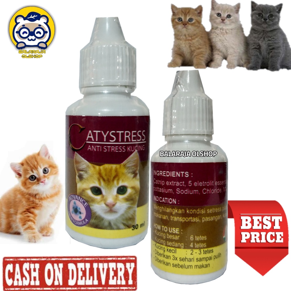 OBAT KUCING STRESS MABOK PERJALANAN - CATYSTRESS