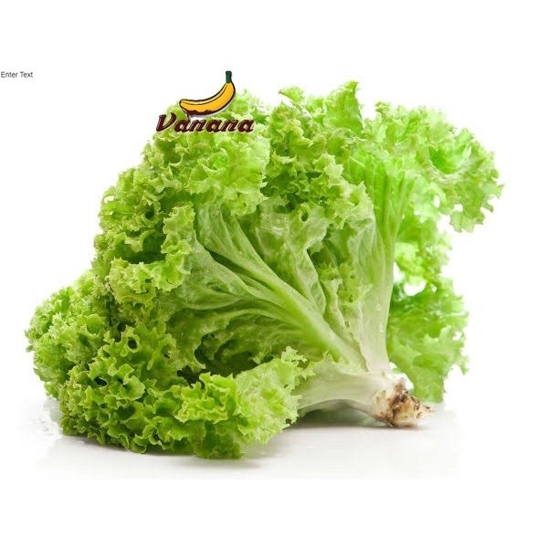 

sayur segar selada lalapan 250gr