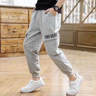 ti sweatpants