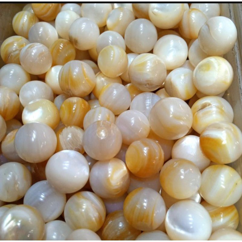 batu natural kulit mutiara laut 100%asli