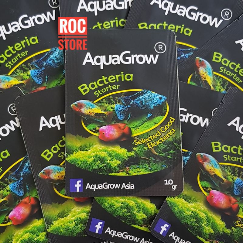 BAKTERI BACTERIA STARTER