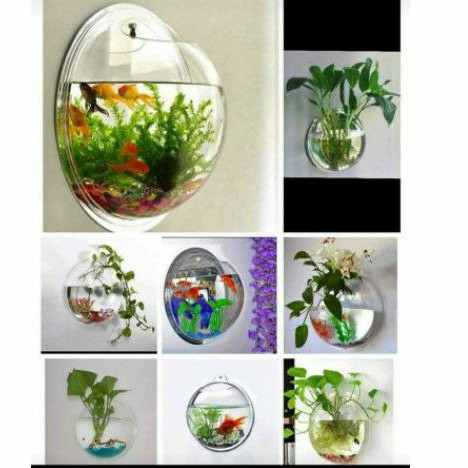 Aquarium dinding / kaca aquarium