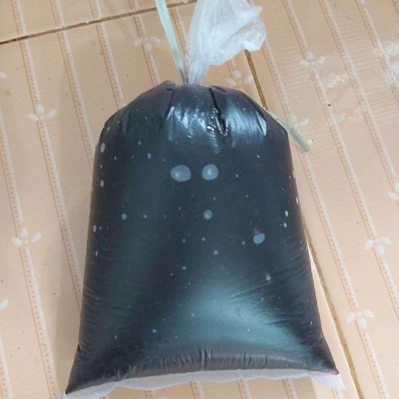 

selai blueberi lepatta