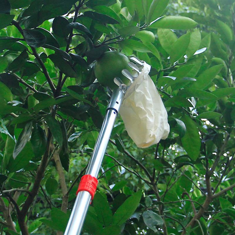 Alat Pemetik Buah Alat Petik Buah Pemanen Buah Alat Pengambil Buah Fruit Picker Tanpa Tongkat