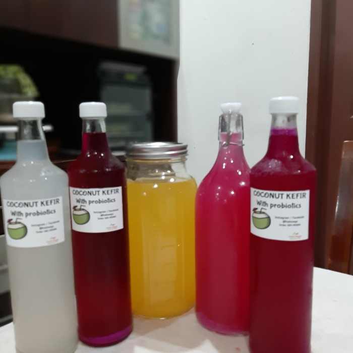 

Kefir kelapa 650ml | vegan|dengan probiotik hidup - Blueberry, 1 liter (BERKUALITAS)